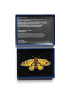 Yellow Coster Butterfly Brooch Yellow