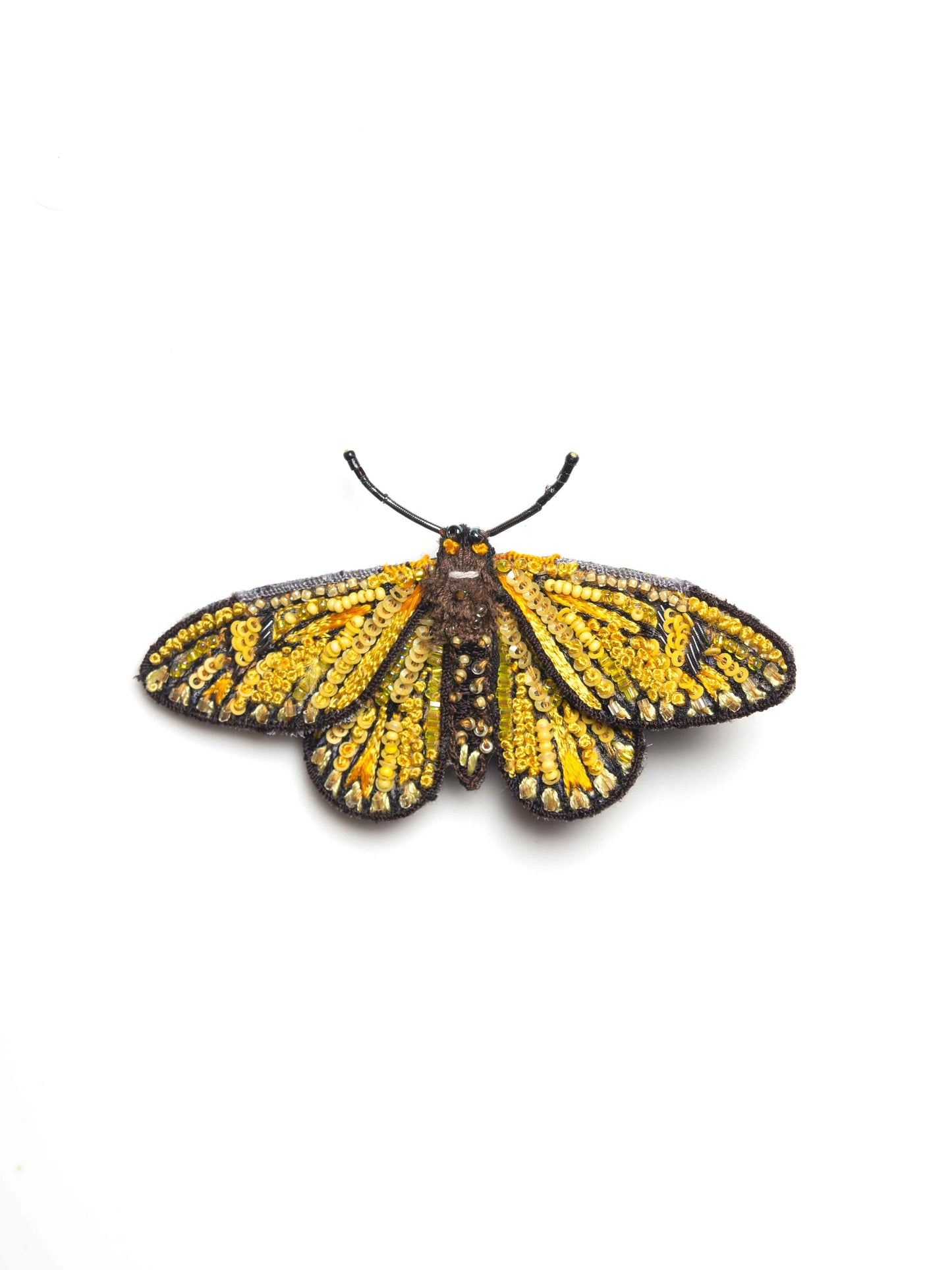 Yellow Coster Butterfly Brooch Yellow