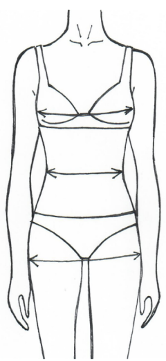 body measurements